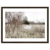 Abandoned Sofa in the middle of nowhere thumbnail