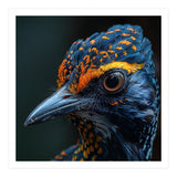 Close Up Of A Colorful Bird Head And Eye (Print Only) thumbnail
