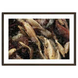 Fish01 thumbnail