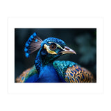 Peacock Head Close Up Majestic Blue Bird (Print Only) thumbnail