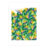 Summer Strelitzia (Print Only) thumbnail