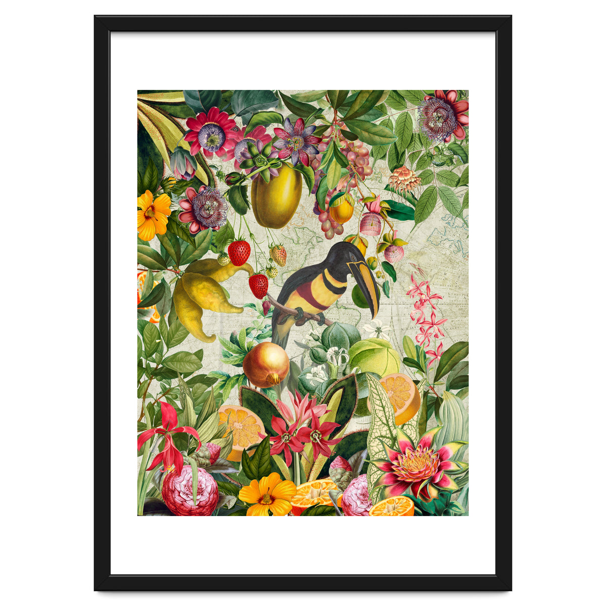 Toucan vintage jungle