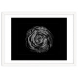 Backyard Flowers In Black And White No 72 with Border thumbnail