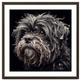 Old Dog 02 thumbnail