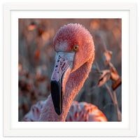 Close Up Of A Pink Flamingo Head In Sunlight