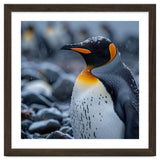 King Penguin Standing In Snowfall Outdoors thumbnail