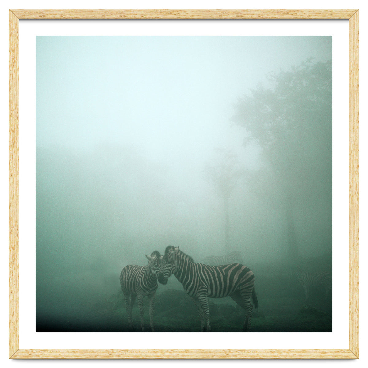 Silence of breath - 11