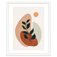 Soft Shapes II