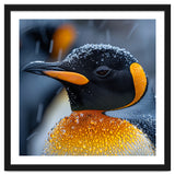 King Penguin Close Up In Snowfall thumbnail