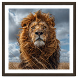 Majestic Lion Portrait Windblown Mane Outdoors thumbnail