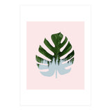 Monstera (Print Only) thumbnail