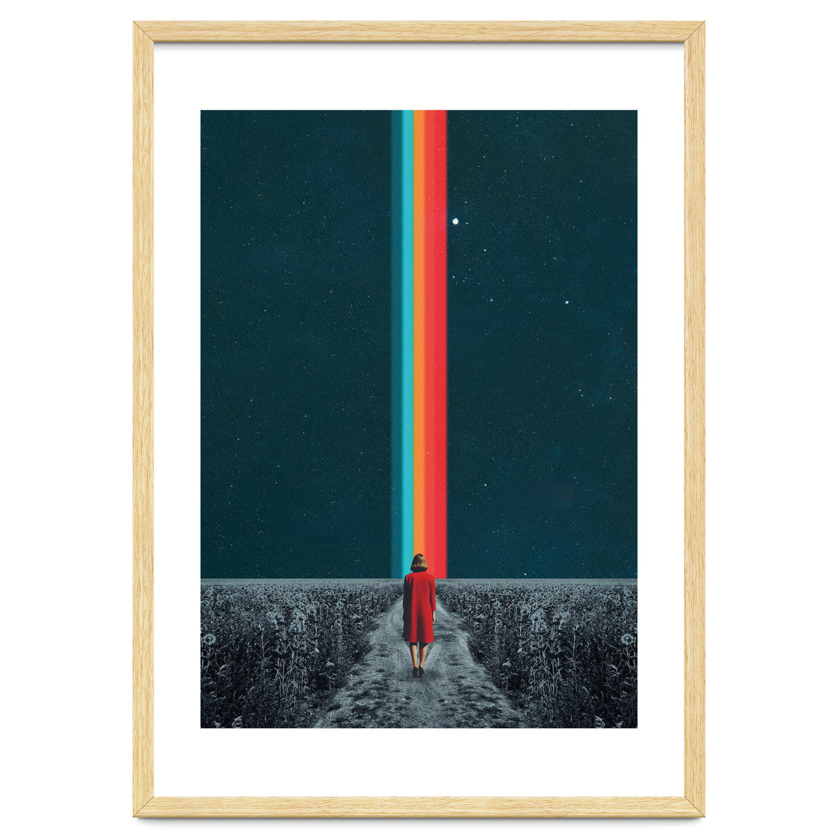 Follow Your Own Path