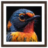 Vibrant Bird With Orange And Blue Plumage thumbnail