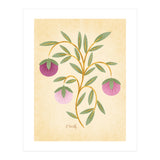 Vintage Fruits (Print Only) thumbnail