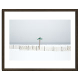 Fake palm tree in the winter snow beach thumbnail