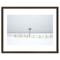 Fake palm tree in the winter snow beach