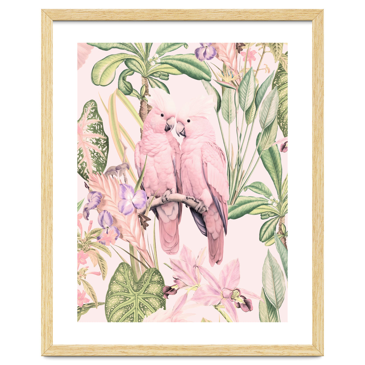 Pink Cockatoos in Love