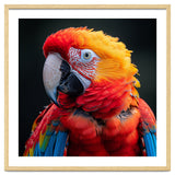 Scarlet Macaw Parrot Portrait Vivid Colors thumbnail