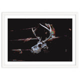 Deer Skull thumbnail