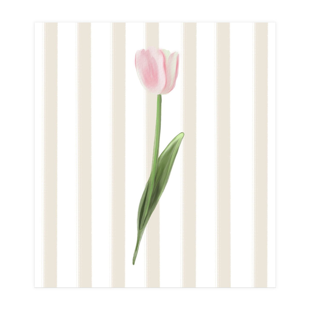 Single Tulip (Print Only)