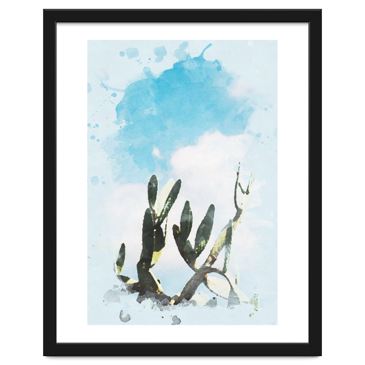 Cactus & Sky