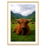 Highland Cow in Scotland thumbnail