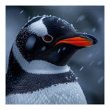 Close Up Penguin Portrait In Snowy Weather (Print Only) thumbnail