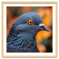 Close Up Of A Pigeon's Head And Neck