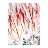 Delicate Florals (Print Only) thumbnail