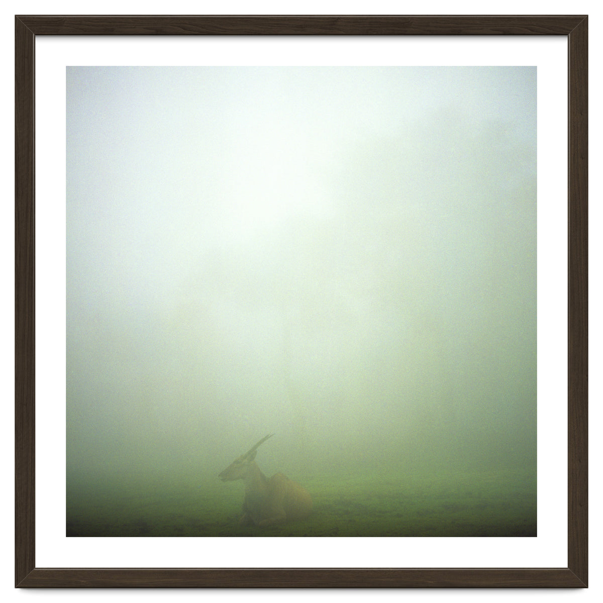 Silence of breath - 06