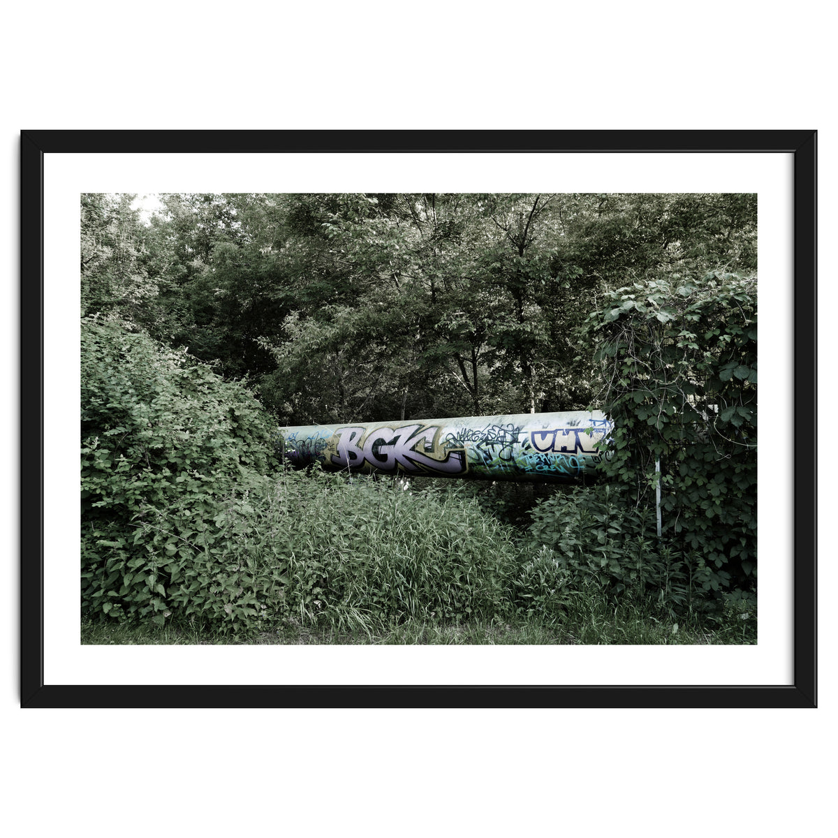 Graffiti pipe among the summer forest