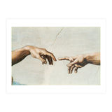 The Sistine Chapel; ceiling frescos after restoration. The creation of Adam. (Print Only) thumbnail