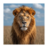 Majestic Lion In African Savanna Under Blue Sky (Print Only) thumbnail