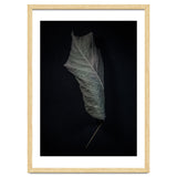 Leaves No 3 Color Version thumbnail