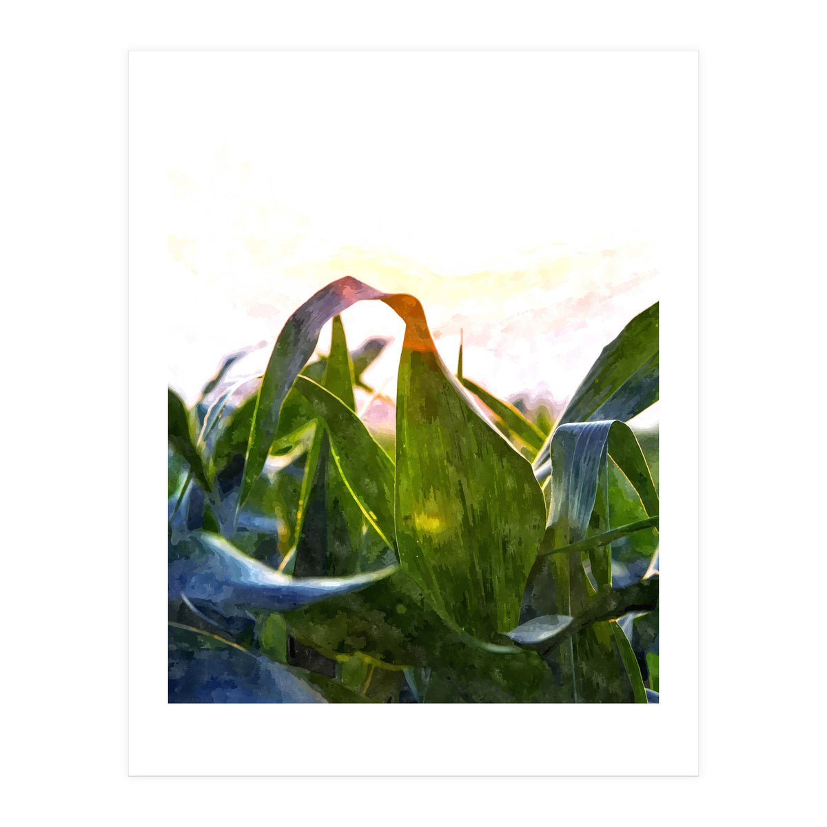 Hope With Abstraction (Print Only)