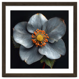 Hellebore | Silver Magic thumbnail
