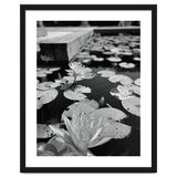 Lotus Pond | Black & White Portrait thumbnail