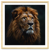 Majestic Lion Portrait In Gentle Rain thumbnail