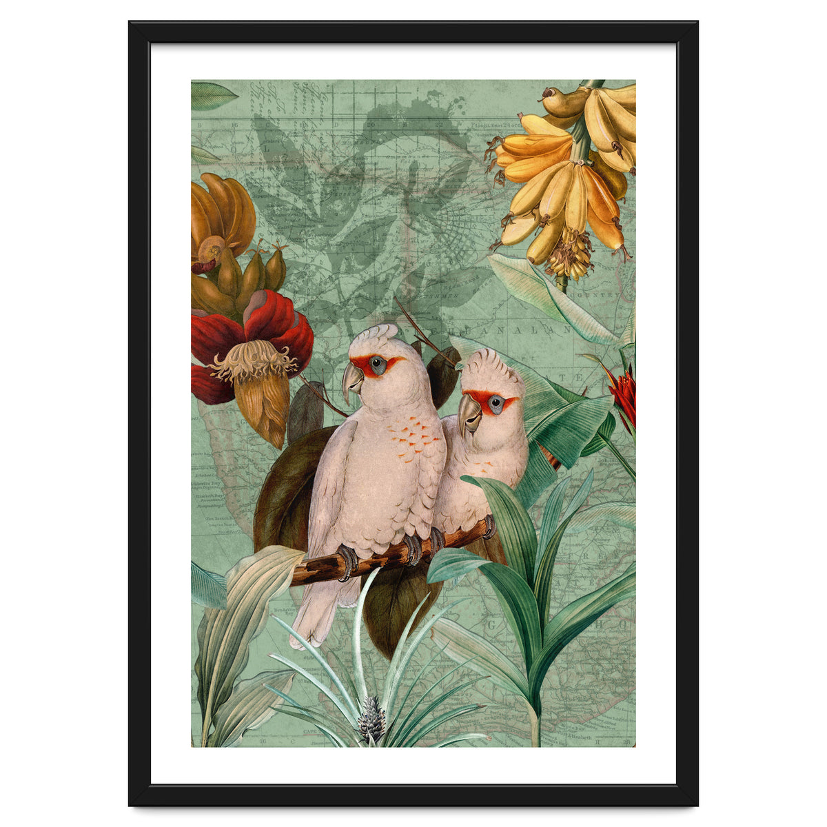 Green Cockatoo Exotic Bird Jungle