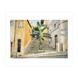 Lisbon Palm Tree (Print Only) thumbnail