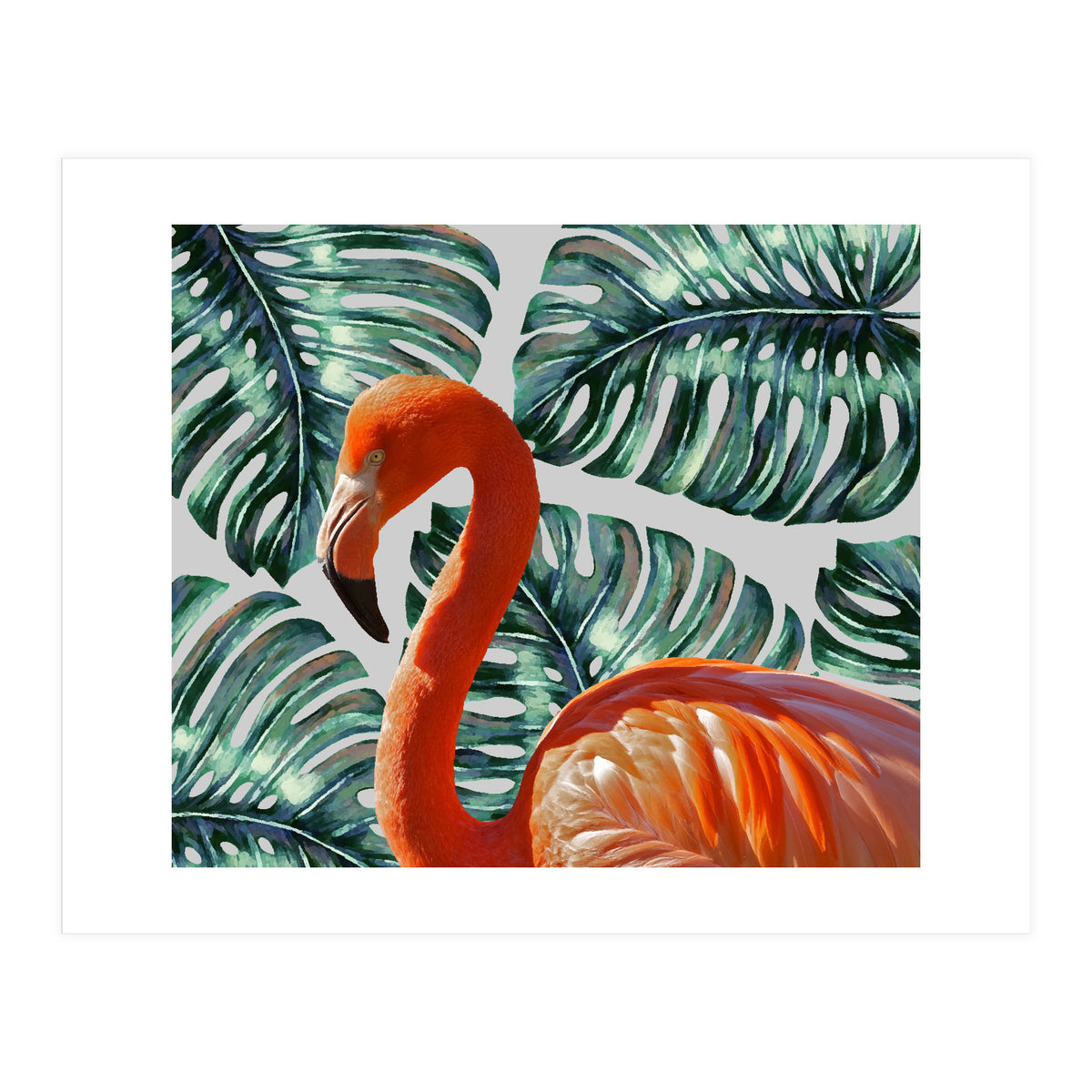 Flamingo Self Portrait (Print Only)