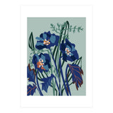 Wild Flowers Light (Print Only) thumbnail