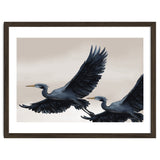 Migrating Herons thumbnail