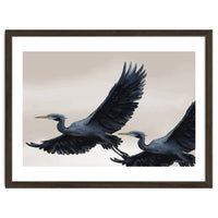 Migrating Herons