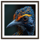 Close Up Of A Colorful Bird Head And Eye thumbnail