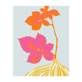 Plant based happyness Blackberry still life (Print Only) thumbnail