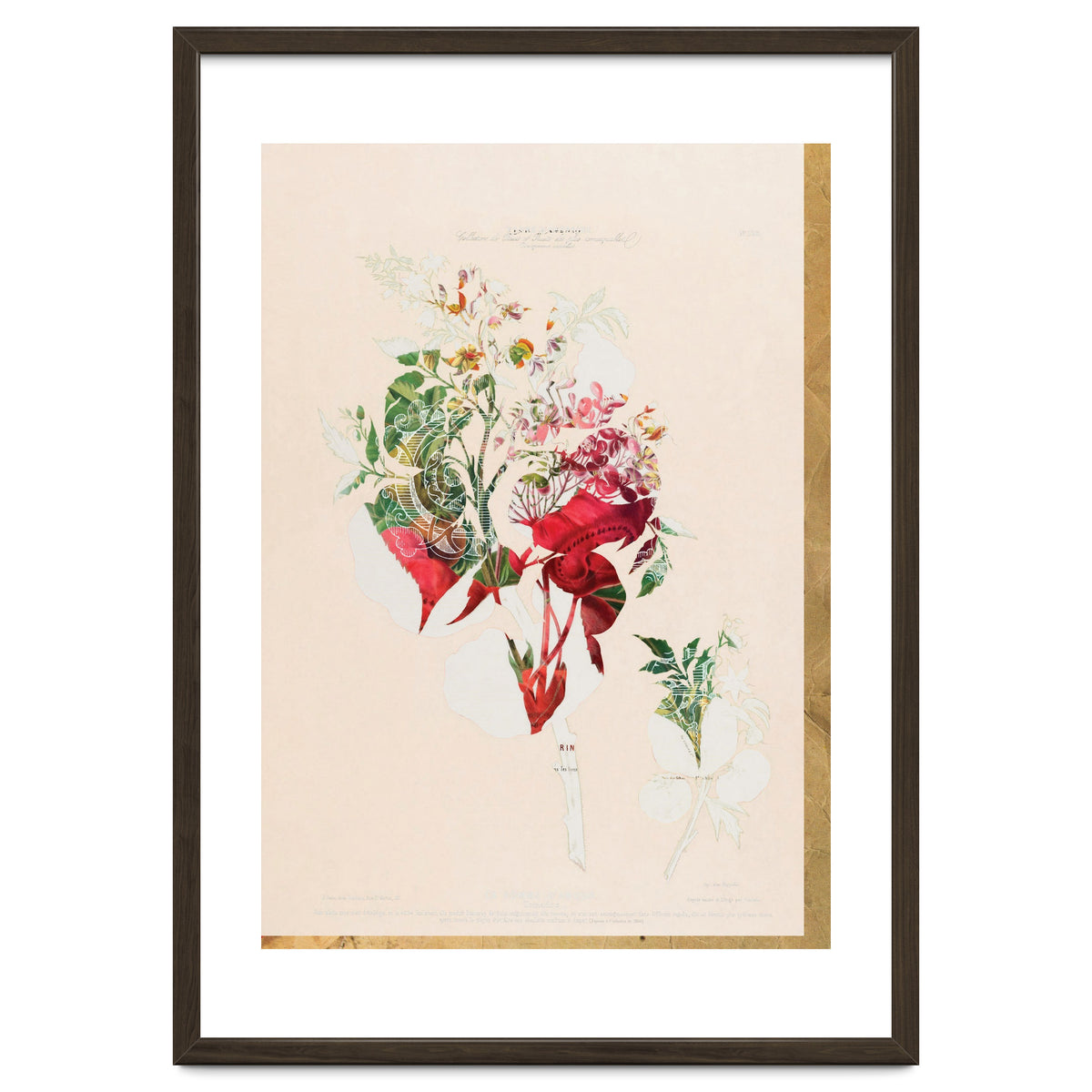 The First Plant · Aufbluehen