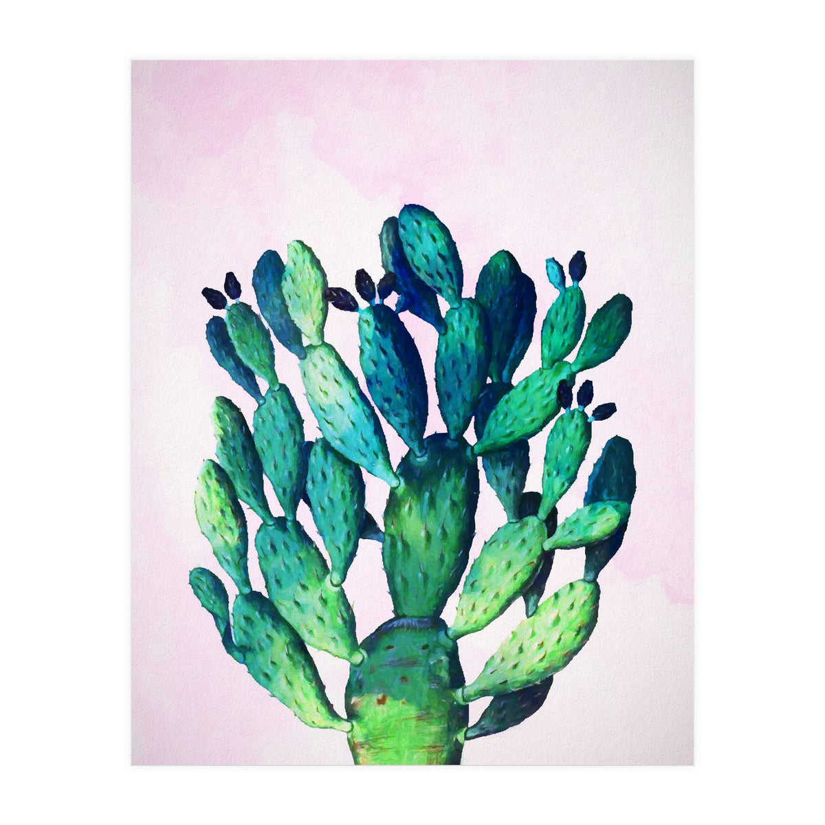 Cactus Three Ways (Print Only)