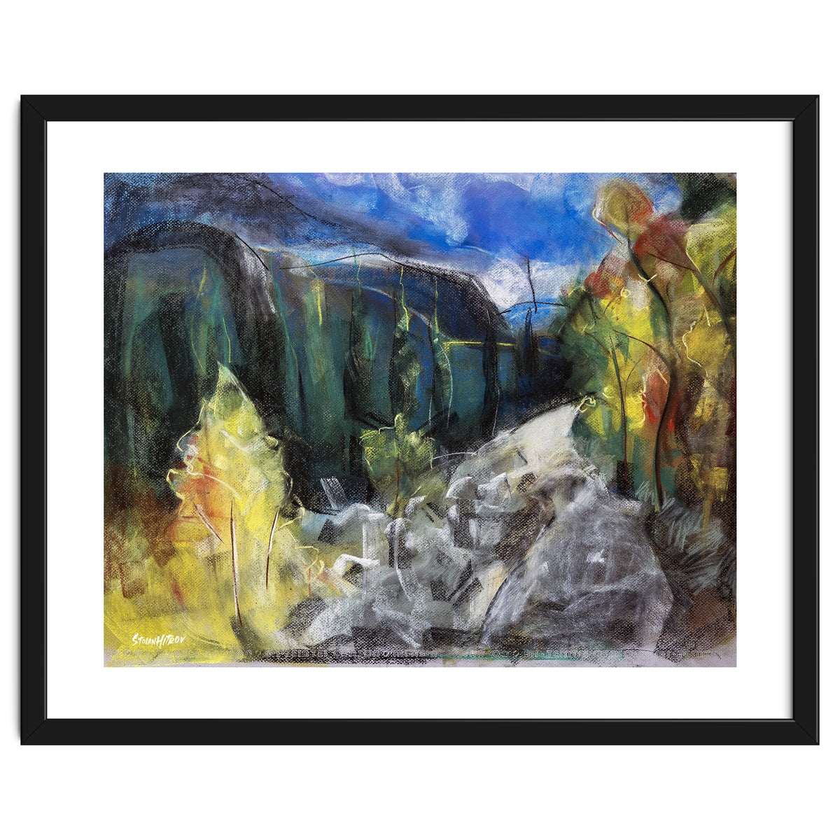 The Forest of Rila Mountain