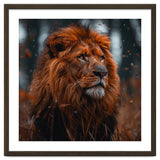Majestic Lion King Of The Jungle Close Up Portrait thumbnail